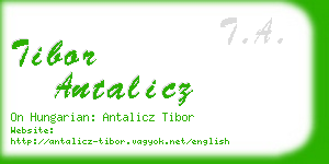 tibor antalicz business card